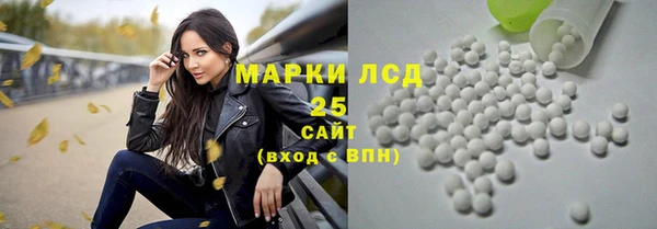 тгк Алзамай