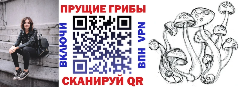 Псилоцибиновые грибы MAGIC MUSHROOMS darknet формула гидра онион Калтан что такое